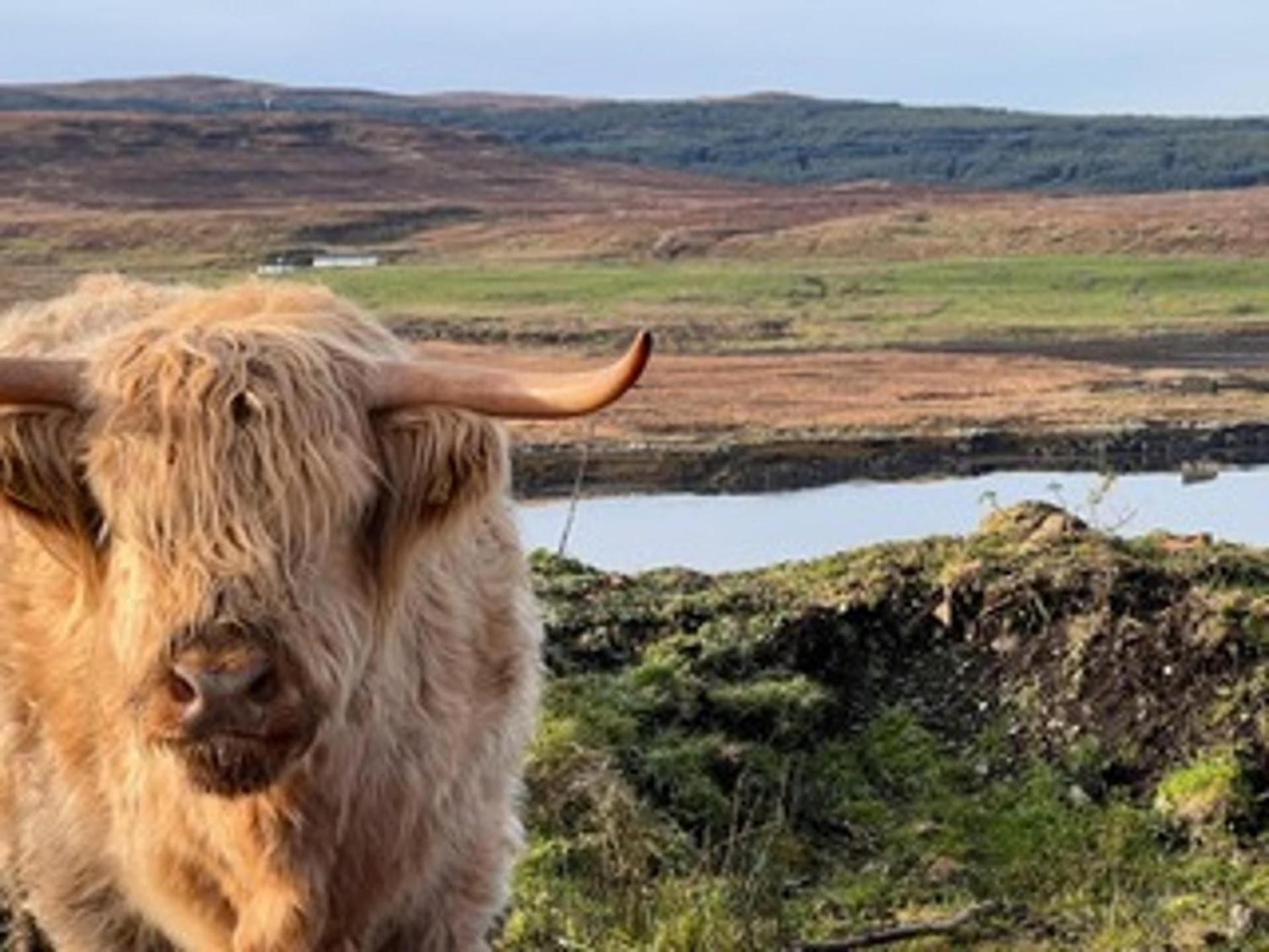 No 4 Old Post Office Row Isle Of Skye - Book Now! Villa Eyre Exteriör bild